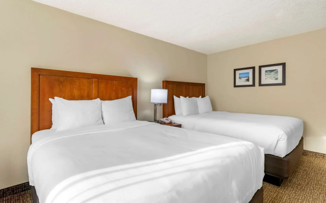 Comfort Inn & Suites St. Pete - Clearwater International Airport