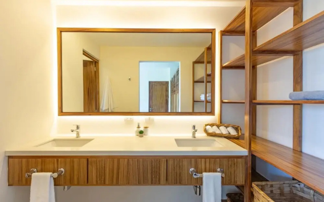 Agaves 204