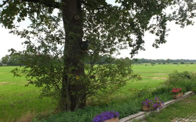 Het zwaluwnest