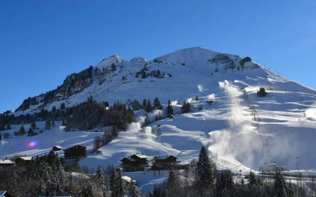 Appartement Le Grand-Bornand, 2 pièces, 6 personnes - FR-1-241-18