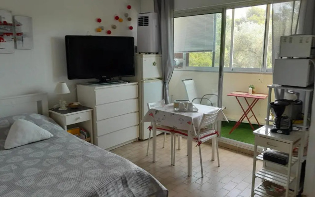 STUDIO CONFORT ET LUMINEUX avec LOGGIA ET PARKING PRIVE