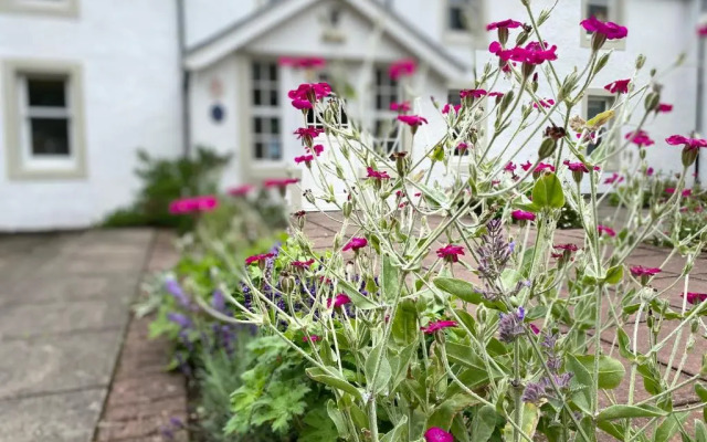 Hartfield House Hostel