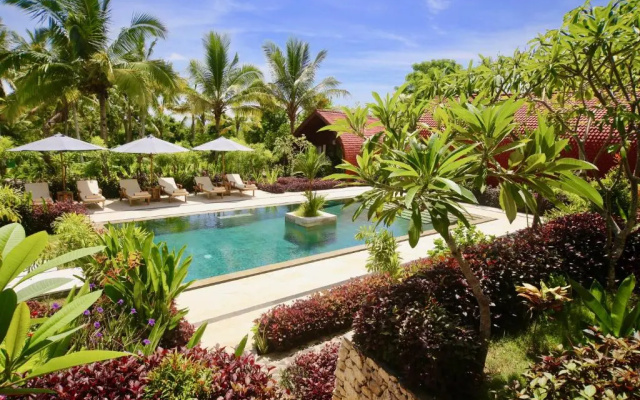 Jungle Paradise
