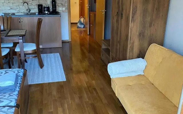 Bansko SPA Studio at Predela1