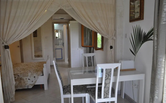 White Coconut Studio
