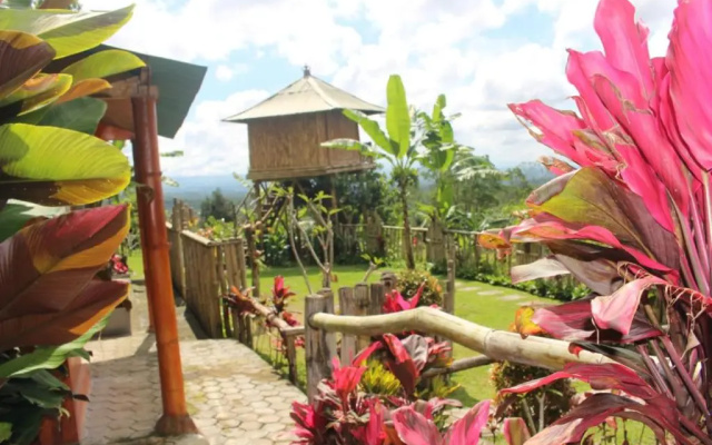 Bali Tree House Pelangi
