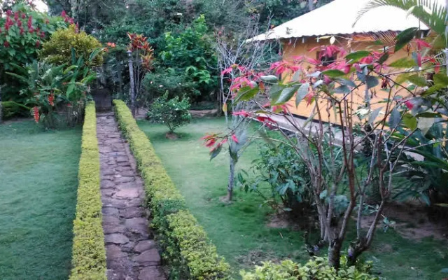Aurora Holiday Bungalow