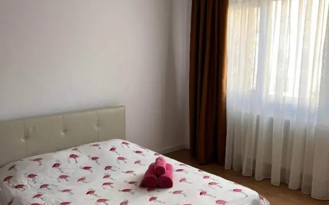 Garsoniera Flamingo Garii 4