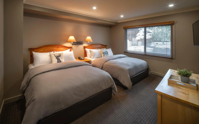 Buffalo Mountain Lodge