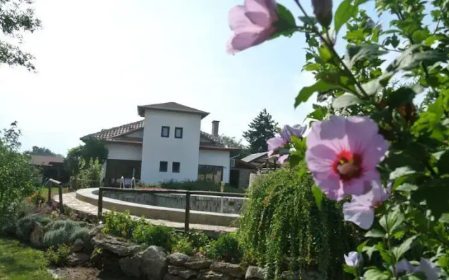 Guest House Zdravec