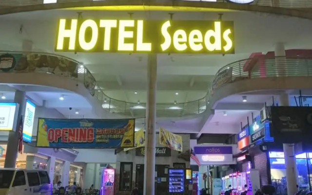 Seeds Hotel Pv128