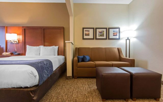 Comfort Suites Rochester Henrietta University Area
