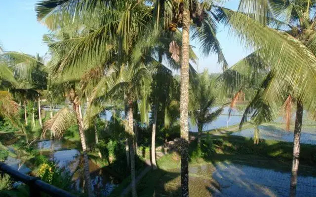Toko Toko Bungalows