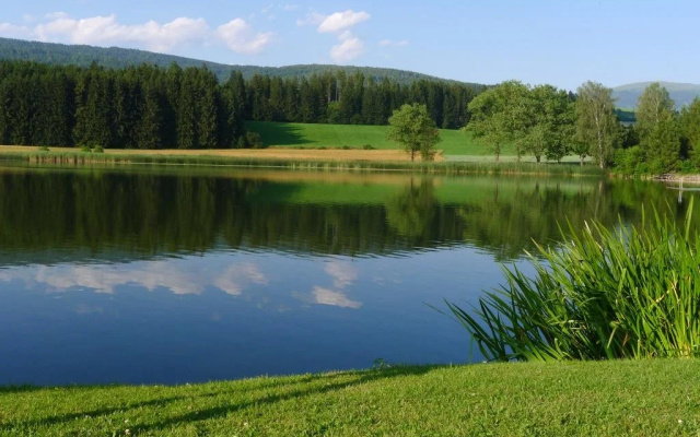 Villa am Walde