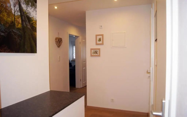 Apartment in Winterberg Near Ski Lift