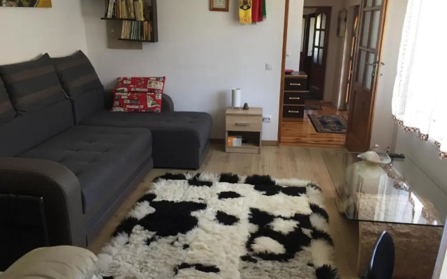 Casa rustica cu terasa