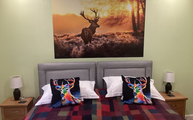 Taigh Sealladh Fèidh B&B