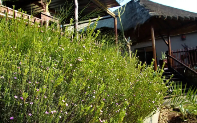 Saba Airport Lodge