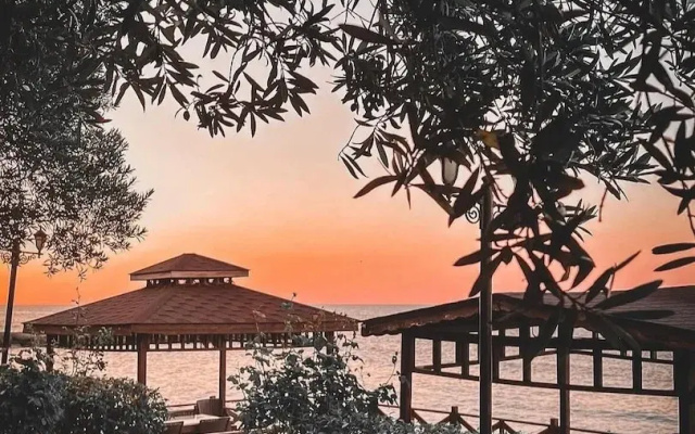 Pasa Tatil Koyu
