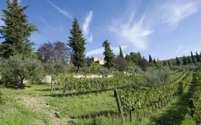 Agriturismo Il Palagio