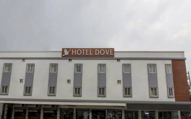 Treebo Trend Dove