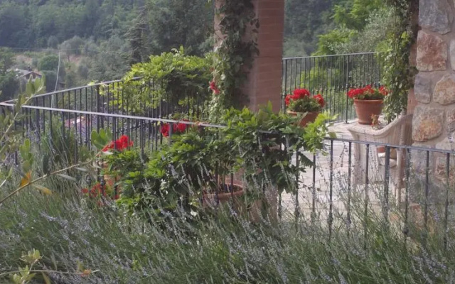 Villa Luna dellAntico Uliveto
