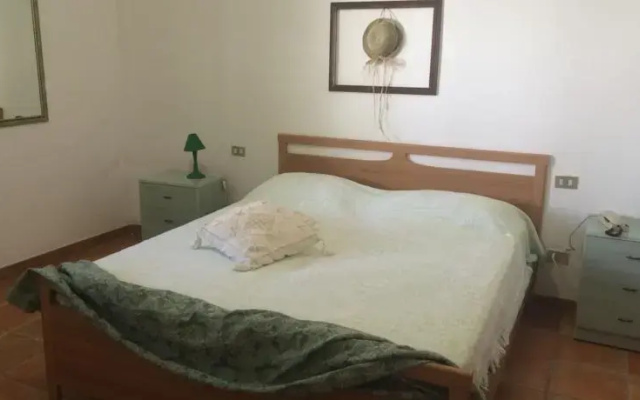 Mimosa Apartment