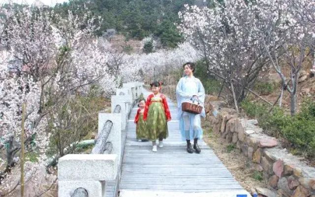 Xianju Laoshan Poetry & Wine Culture Themed Courtyard