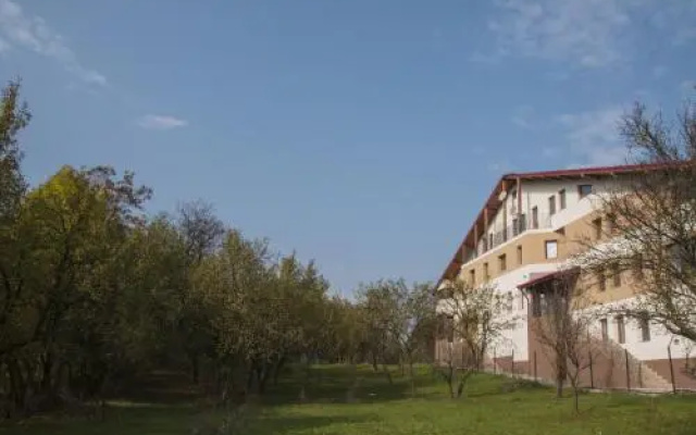 Pensiunea Muntele Verde