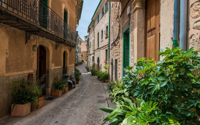 Oliveret Des Puig