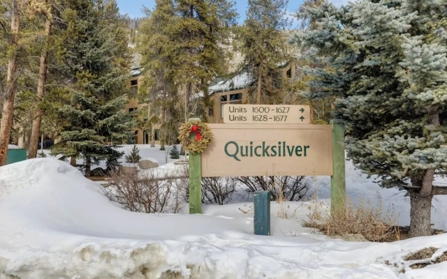 Quicksilver #1631