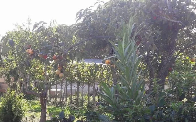 Agriturismo Beethoven