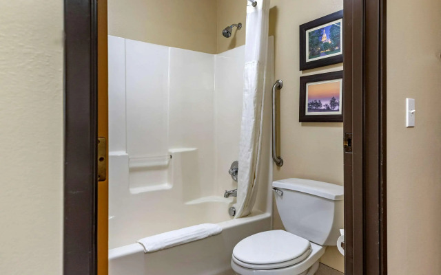 Comfort Inn & Suites Diamondale – Lansing