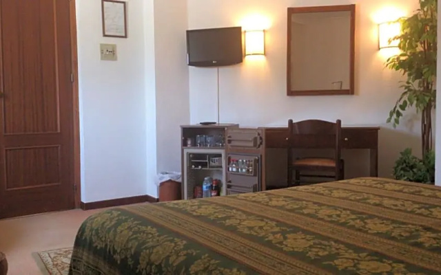 Hotel Palmero