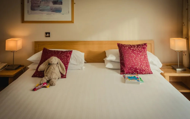 Viking Hotel Waterford