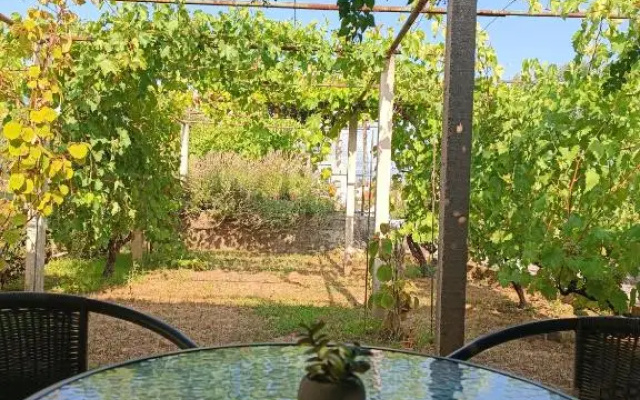 Apartman Dalmatinka