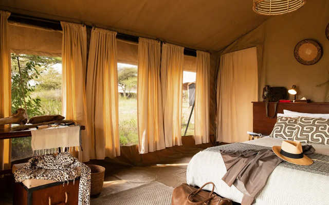 Serengeti Sojourn