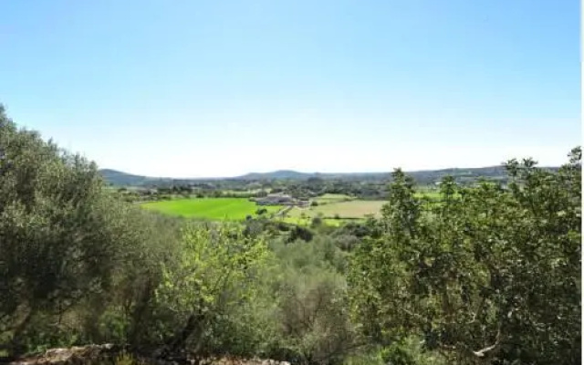 Finca Puig Nou