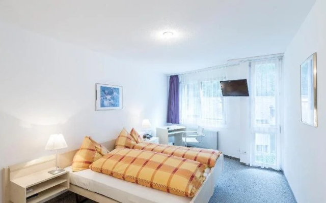 Hotel Alpina