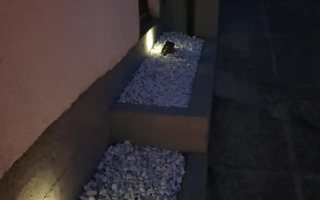 Apartmani Petra