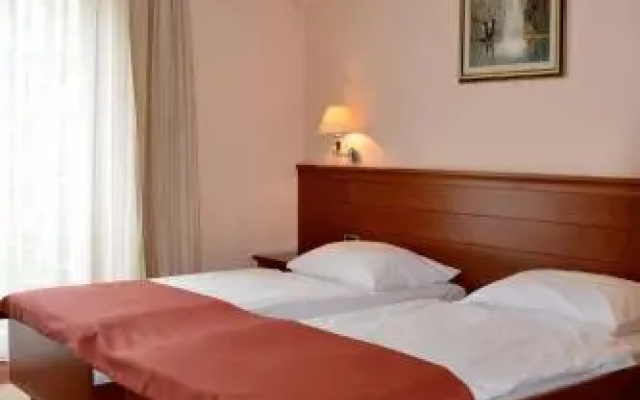 Hotel Mladimir