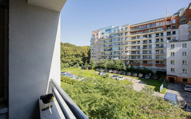 Etna Apartments by Renters