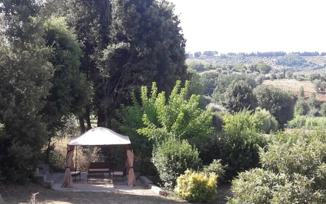 Il Moreto