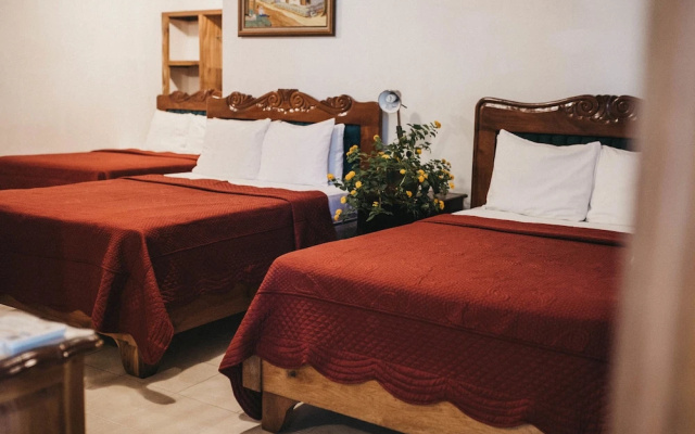 Hotel Javy