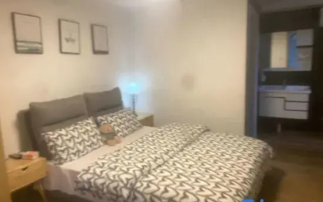 Lvxingjia Designer Audio-Visual Homestay