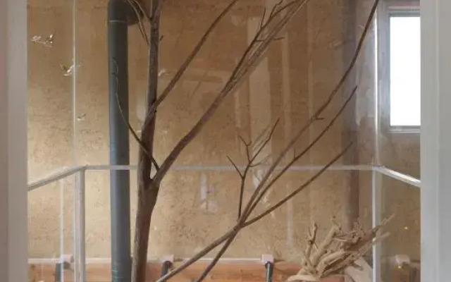 Xiaoyin Fanghua Guesthouse