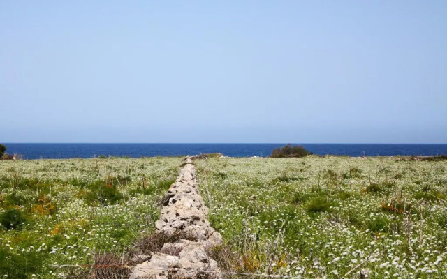 TONNARA84
