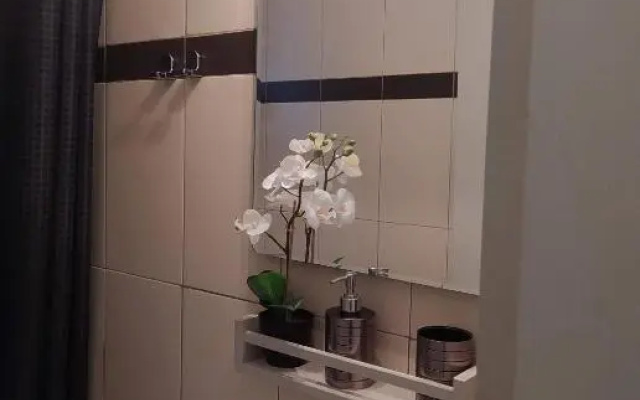 Elegant Central Studio Free wifi and netflix