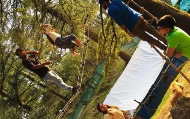 Northern Adventure Camp & Cottages