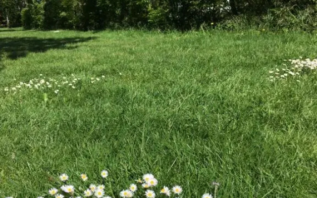 't Keetje